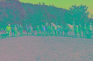 Gruppe mit Pferden beim muko.move 2023