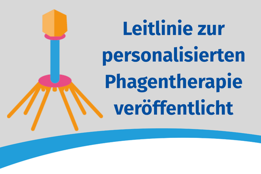 Stilisierte Darstellung eines Bakteriophagen (sieht ähnlich aus wie eine Schraube mit mehreren Beinen), daneben der Text: Leitlinie zur personalisierten Phagentherapie veröffentlicht