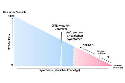 Grafik: CFTR-Kontinuum: Ein Dreieck: Oben links steht "Gesunder Mensch", eine Linie verläuft nach rechts unten, wo CF steht. Auch Genträger können CF-ähnliche Symptome haben.
