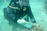 Taucherin unter Wasser mit muko.move-Startnummer