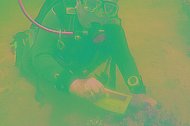 Taucherin unter Wasser mit muko.move-Startnummer