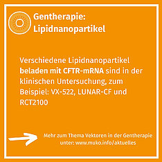 5. Folie zum Thema Vektoren für die Gentherapie, Hinweis darauf, dass es auf der Website weitere Informationen gibt. 