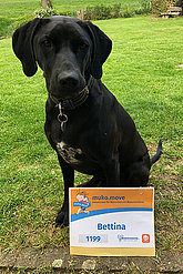 Auch viele Hunde waren beim muko.move mit dabei. 