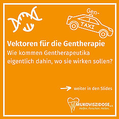 Startfolie im Quadrat mit dem Text: Vektoren für die Gentherapie