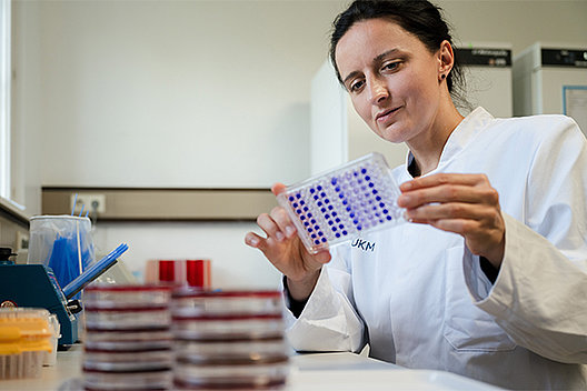 Dipl.-Ing. Christine Rumpf - hier bei der Begutachtung eines in-vitro Tests zum Nachweis von Biofilm - kann sich über eine Projektförderung vom Mukoviszidose e.V. freuen. (Foto: Universität Münster, Marcus Heine)