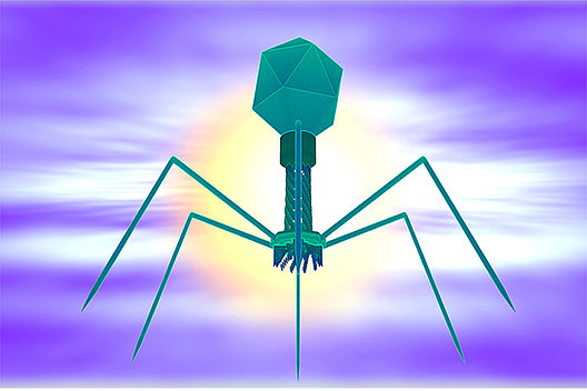 Schematische Darstellung einer Bakteriophage. Bild von Raman Oza auf Pixabay  