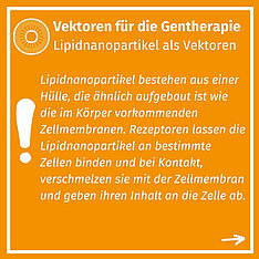 4. Folie: Vektoren für die Gentherapie, Text: Lipidnanopartikel als Vektoren