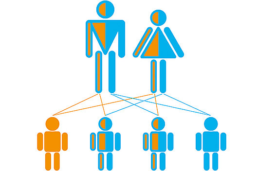 Vererbung / Erbgang bei Mukoviszidose: Beide Eltern tragen ein mutiertes CFTR-Gen (orange), das sie an ihre Nachkommen weitergeben können. Bekommt das Kind von beiden Elternteilen das mutierte Gen, hat es Mukoviszidose (links). 