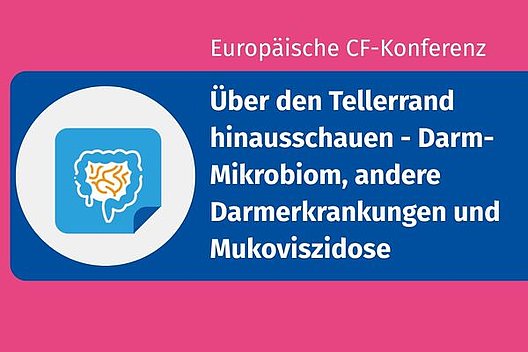 Grafik mit Titel Über den Tellerrand schauen, schematische Darstellung vom Abdomen