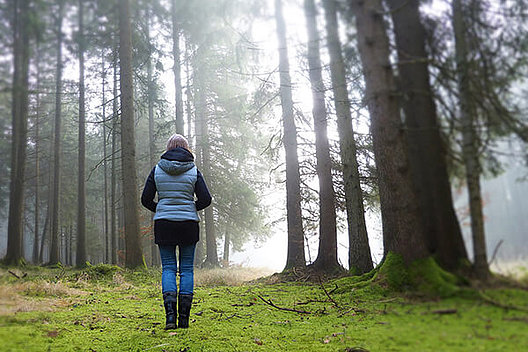 Frau steht im Wald bei Nebel. Bild von Silvia auf Pixabay