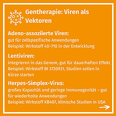 3. Folie: Vektoren für die Gentherapie mit Informationen zu Viren als Vektoren, Informationen dazu findet man auch im Text auf der Website