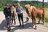 muko.move 2023: Wanderung mit Pferden