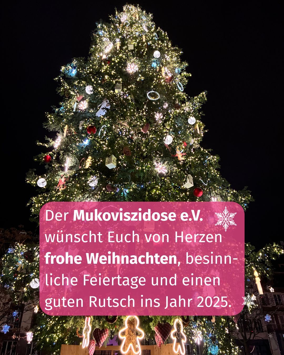 Beitragsbild zum Post 2830