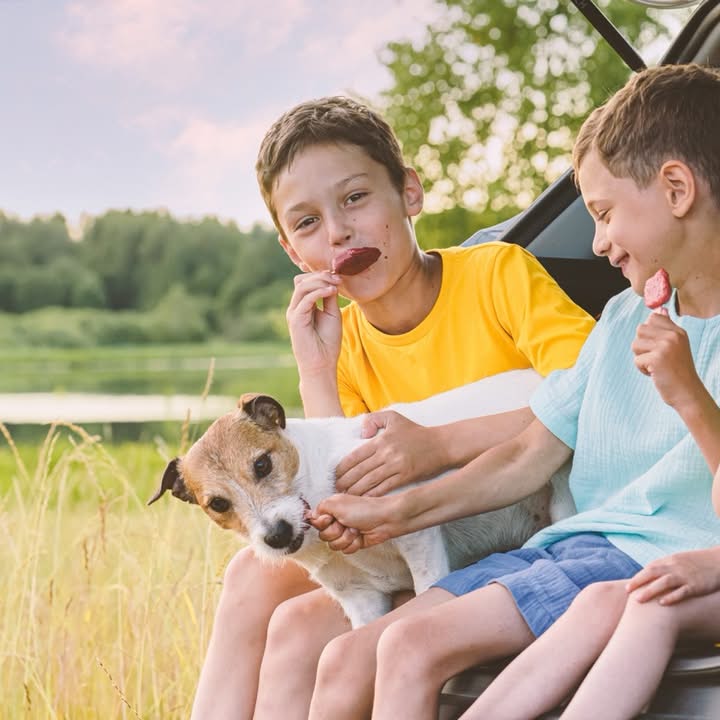 Beitragsbild zum Post 2932