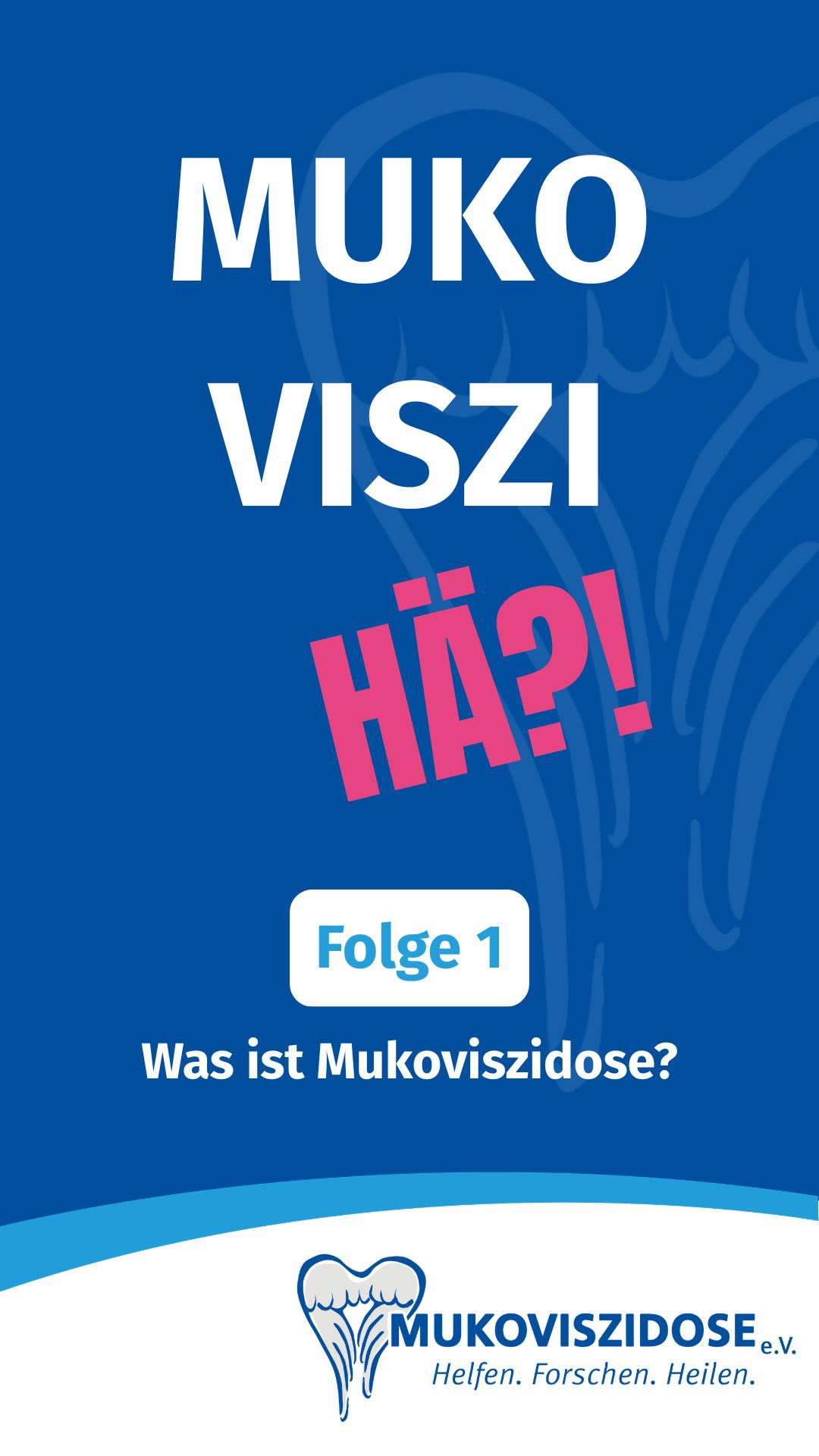 Beitragsbild zum Post 2938