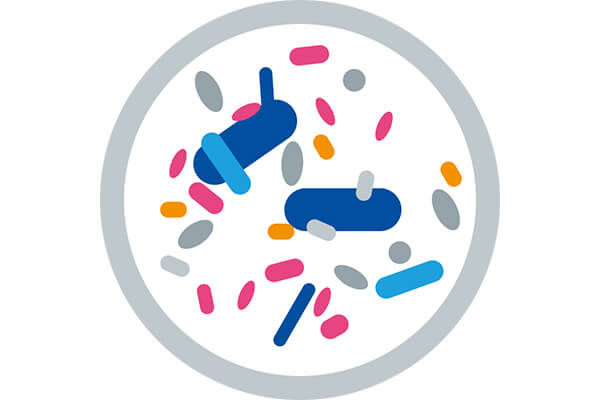 Petrischale mit Keimen (stilisiert): Mukoviszidose-Betroffene sind anfällig für Infektionen mit Bakterien, Viren oder Pilzen.