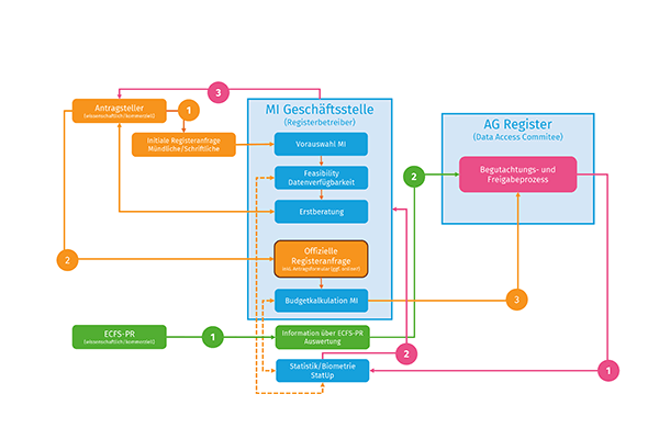 Die Grafik erläutert die verschiedenen Schritte, die durchlaufen werden müssen, wenn man einen Antrag an das Deutsche Mukoviszidose-Register stellt, um Daten aus dem Register zu nutzen. 